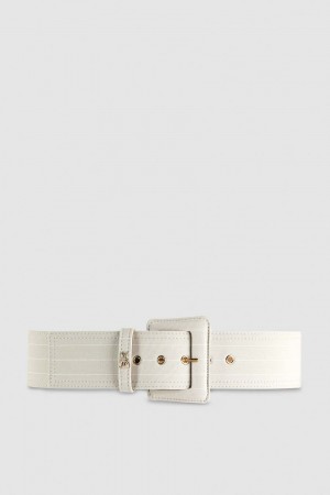 Patrizia Pepe High Waist Fabric Belt Gri | 593LPRYTD