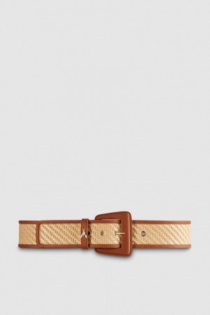 Patrizia Pepe High Waist Fabric Belt Maro | 127LBASQZ