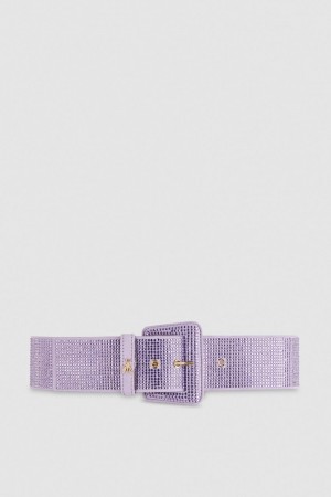 Patrizia Pepe High-waisted Belt With Rhinestones Roz | 124LCMFBQ