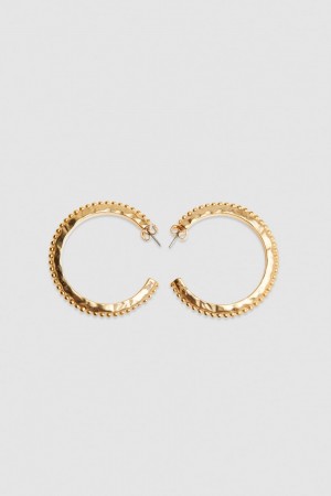 Patrizia Pepe Hoop Earrings Aurii | 540HEDZXF