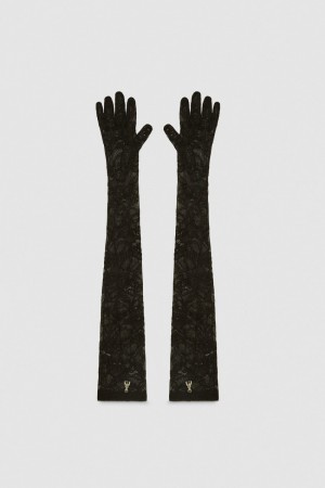 Patrizia Pepe Long Stretch Lace Gloves Negrii | 671MPRAXH