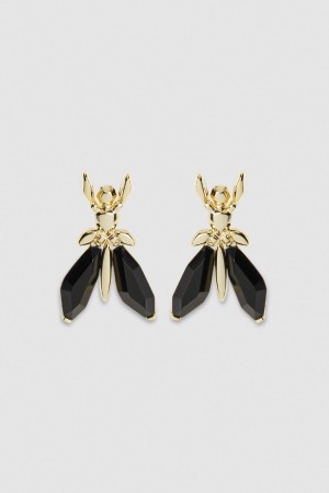 Patrizia Pepe Precious Fly Earrings With Stones Negrii | 835TJKQYM